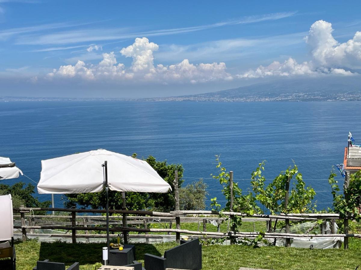 La Badia Montechiaro - Breathtaking View Of Sorrento Coast Villa Vico Equense Exterior photo