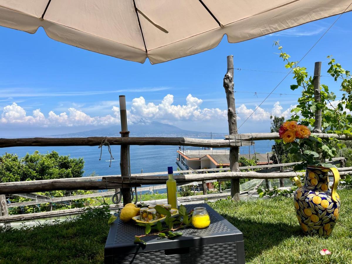 La Badia Montechiaro - Breathtaking View Of Sorrento Coast Villa Vico Equense Exterior photo